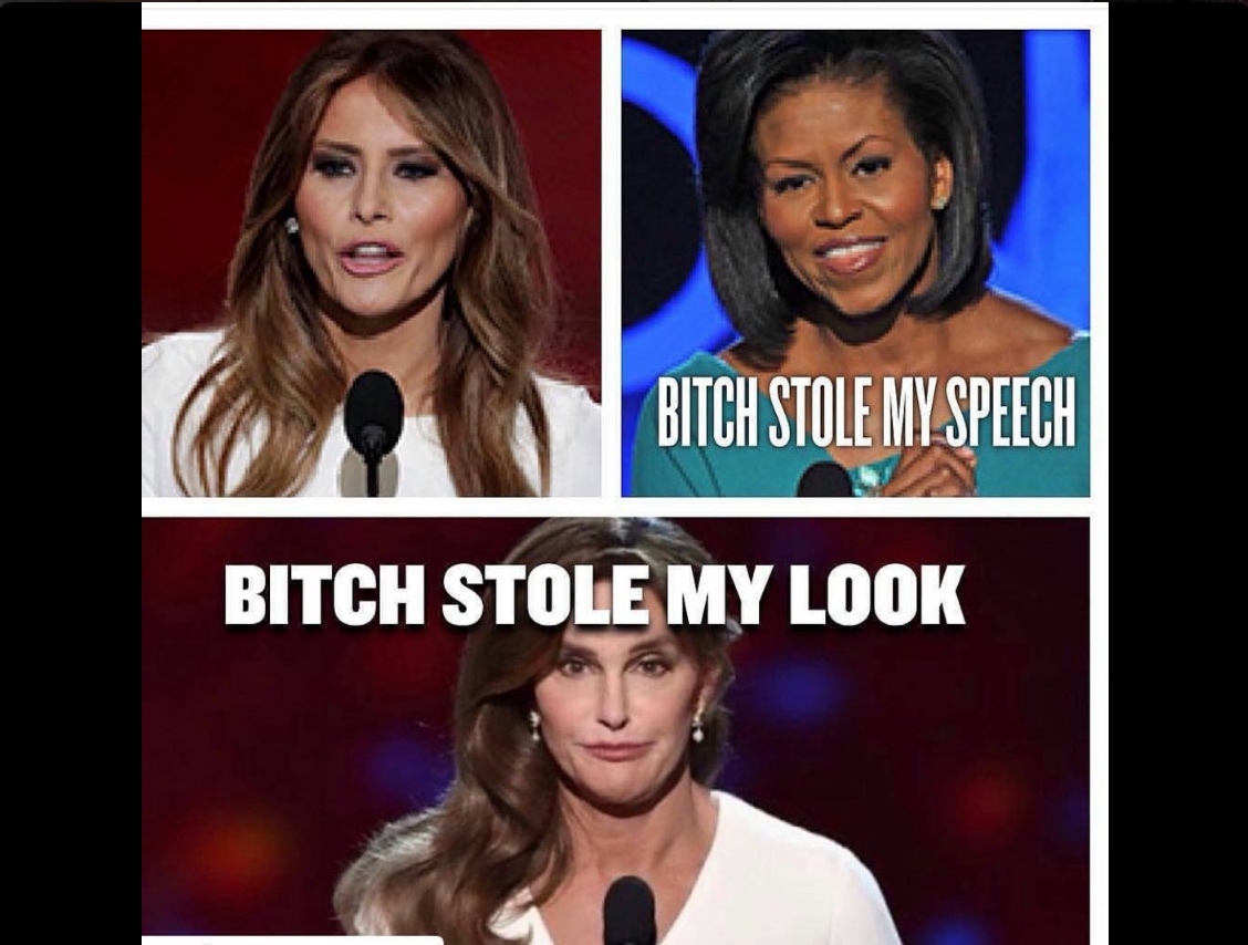 Melania Plagiarized Michelle Obama - Meme 7