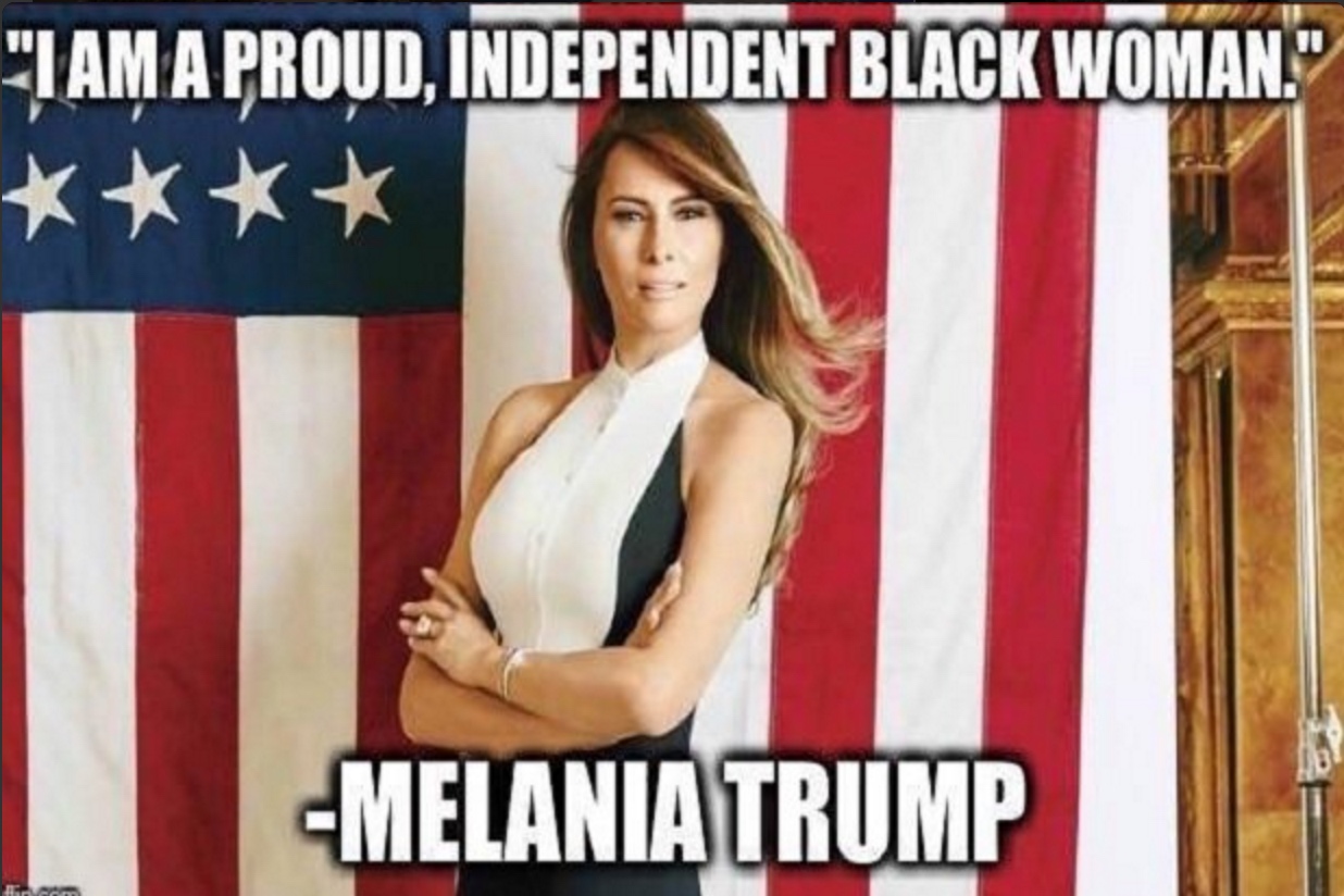 Melania Plagiarized Michelle Obama - Meme