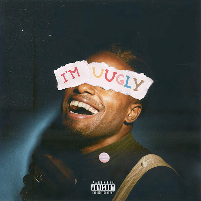 Duckwrth im uugly cover art